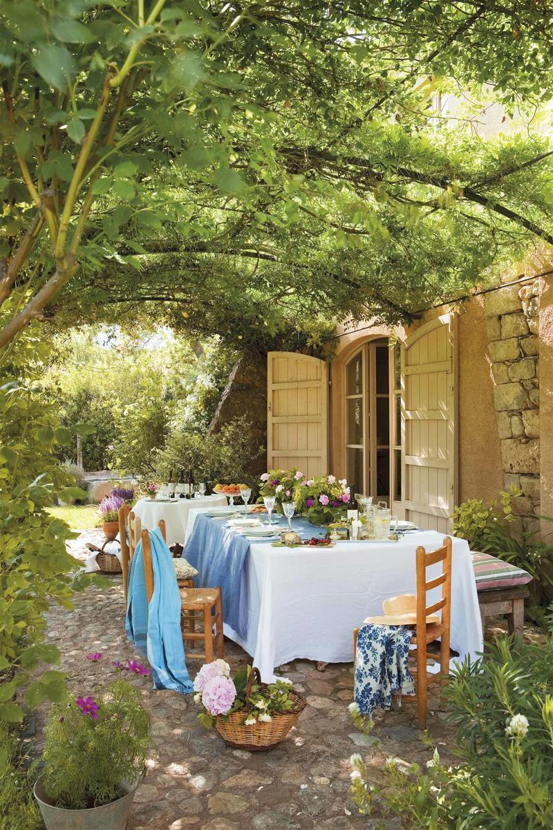 pérgola de madera con plantas trepadoras