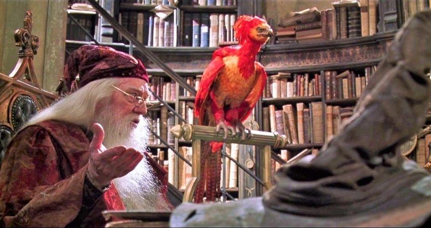 Ave Fénix de Albus Dumbledore