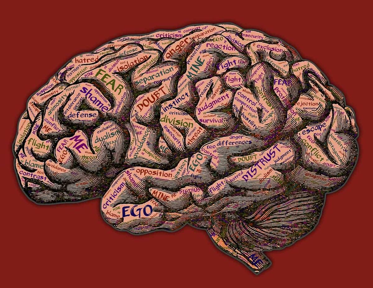 trastorno paranoide de la personalidad