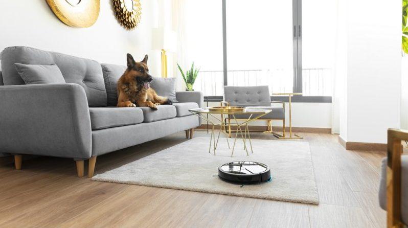 Cepillos BestFriend Care para recoger pelos