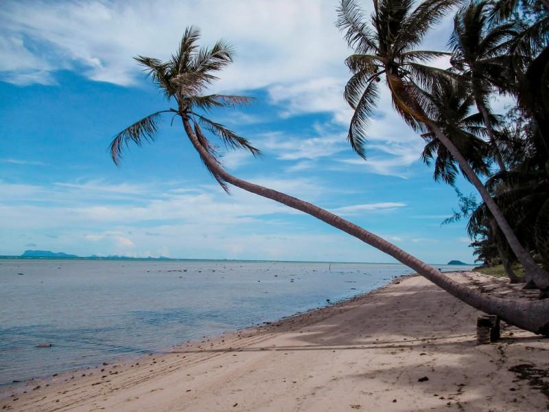 Qué ver en Tailandia, Koh Samui