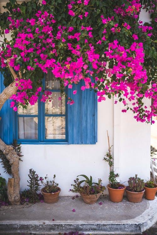 casa
