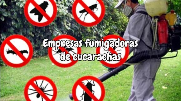 Empresas fumigadoras de cucarachas