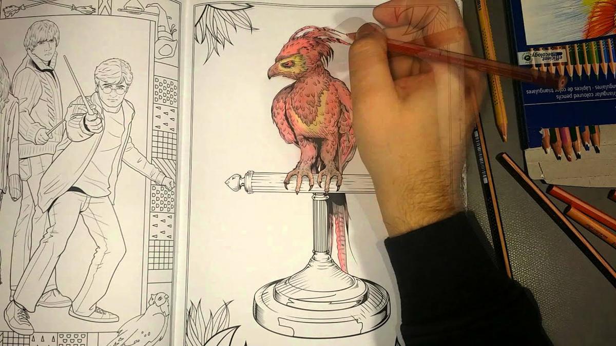 libros de harry potter para colorear