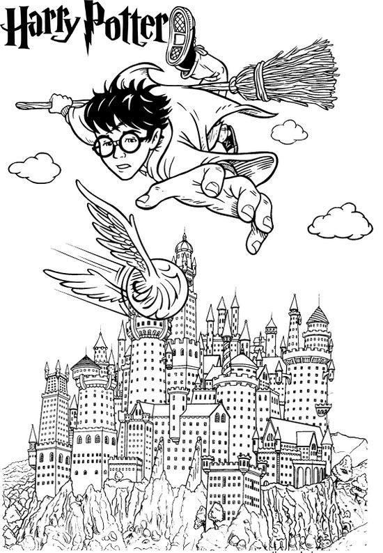 harry potter quidditch pintar