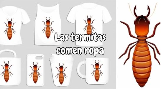 las termitas comen ropa