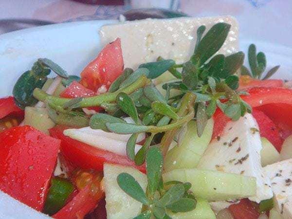 verdolaga propiedades