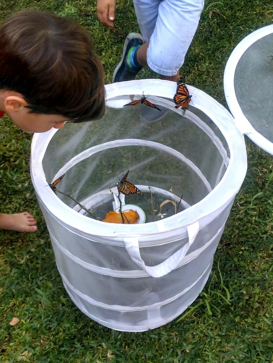 Una cesta blanca de rejilla con tapa