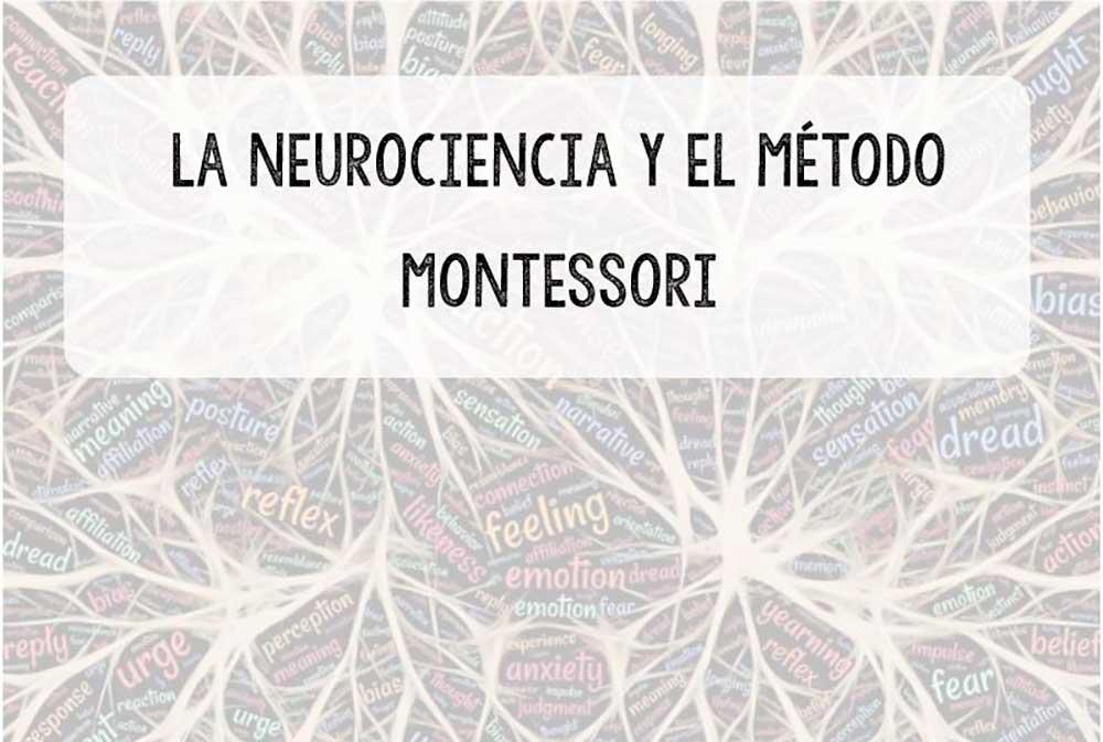 Neurociancia y el método Montessori