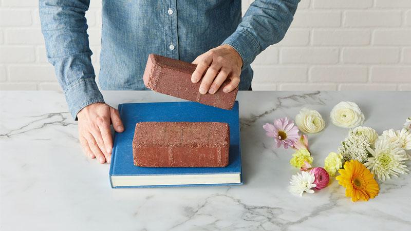 métodos para secar una rosa