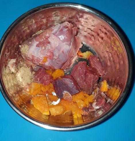 Si el perro es un depredador, ¿debería darle carne?