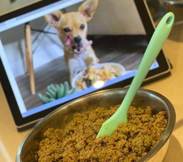 Comida para perros medicada