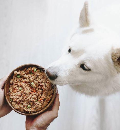 Alimentos saludables para perros