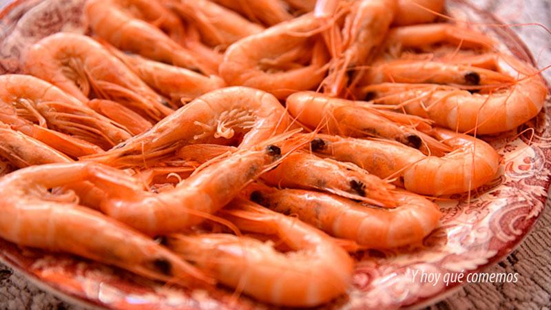 como cocer gamba blanca de huelva receta muy facil