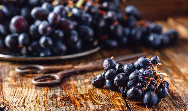 ¿Cuáles son las propiedades de la uva? - Apréndete