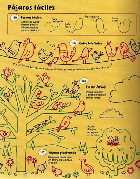 dibujar pájaros
