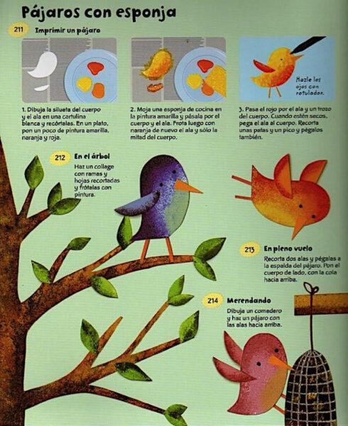 pájaros con esponja