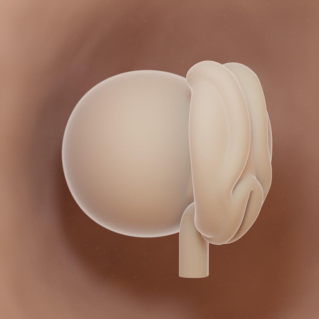 semana 4 de embarazo: ecografía bebé útero