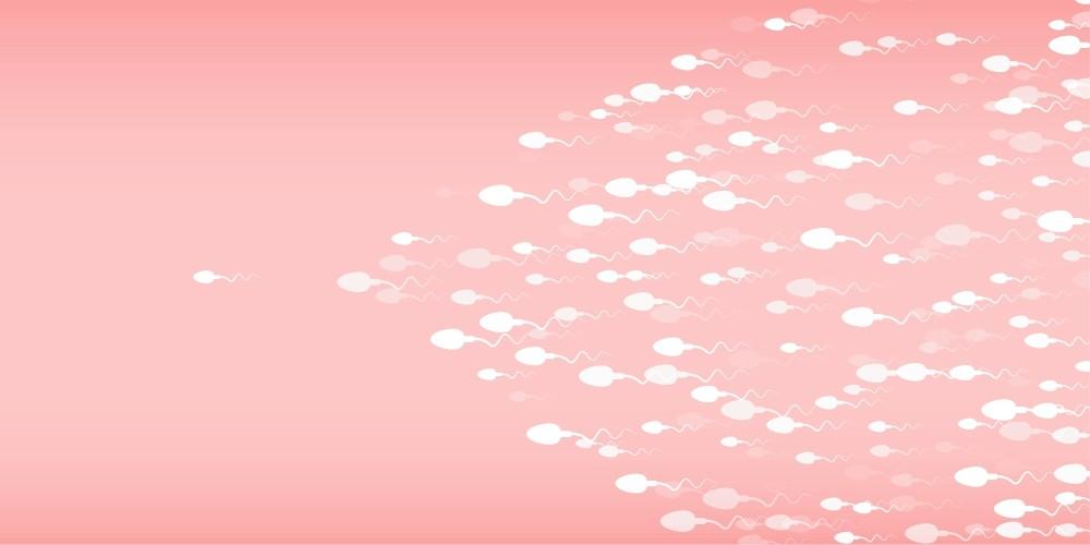 semana 3 de embarazo fecundacion espermatozoides