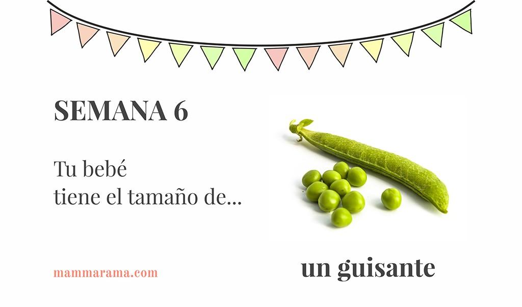 Semana 6 de embarazo: tu bebé tiene el tamaño de un guisante