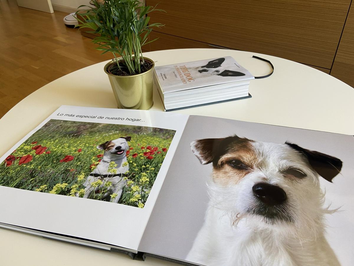 álbum-sala-digital-black friday