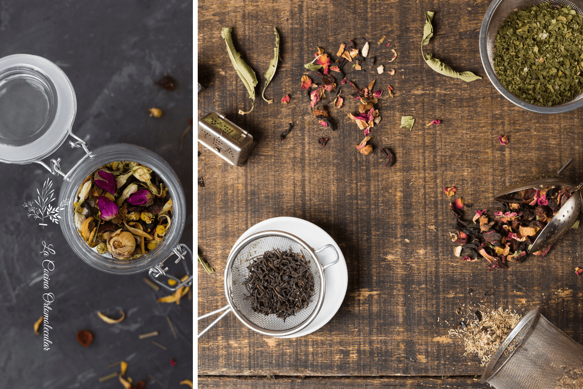 Infusiones para mejorar malestares comunes - La Cocina Ortomolecular