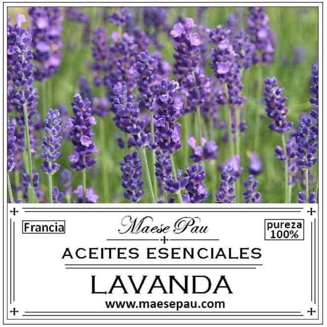 Aceite Esencial de Lavanda Angustifolia
