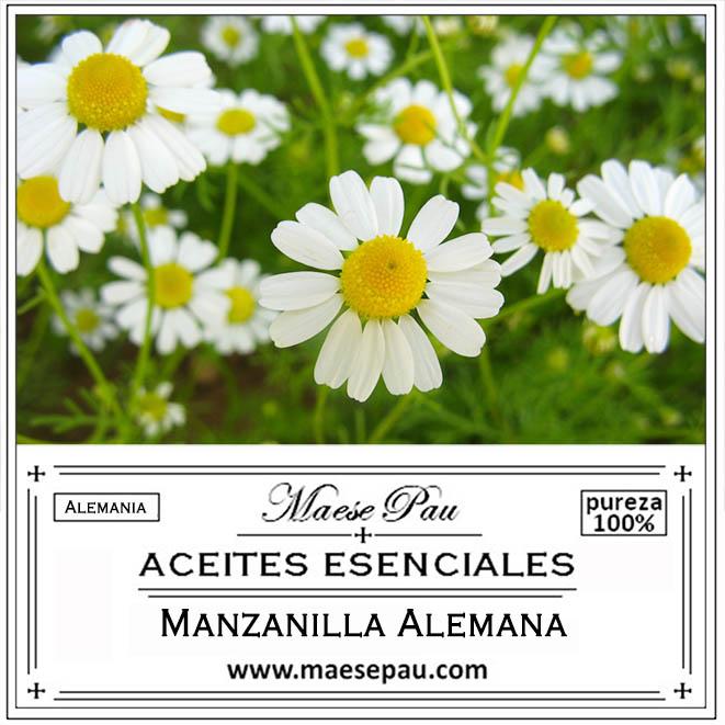 aceite esencial de manzanilla alemana