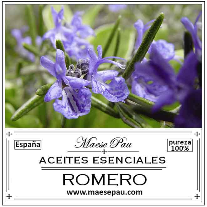 Aceite Esencial de Romero Alcanfor