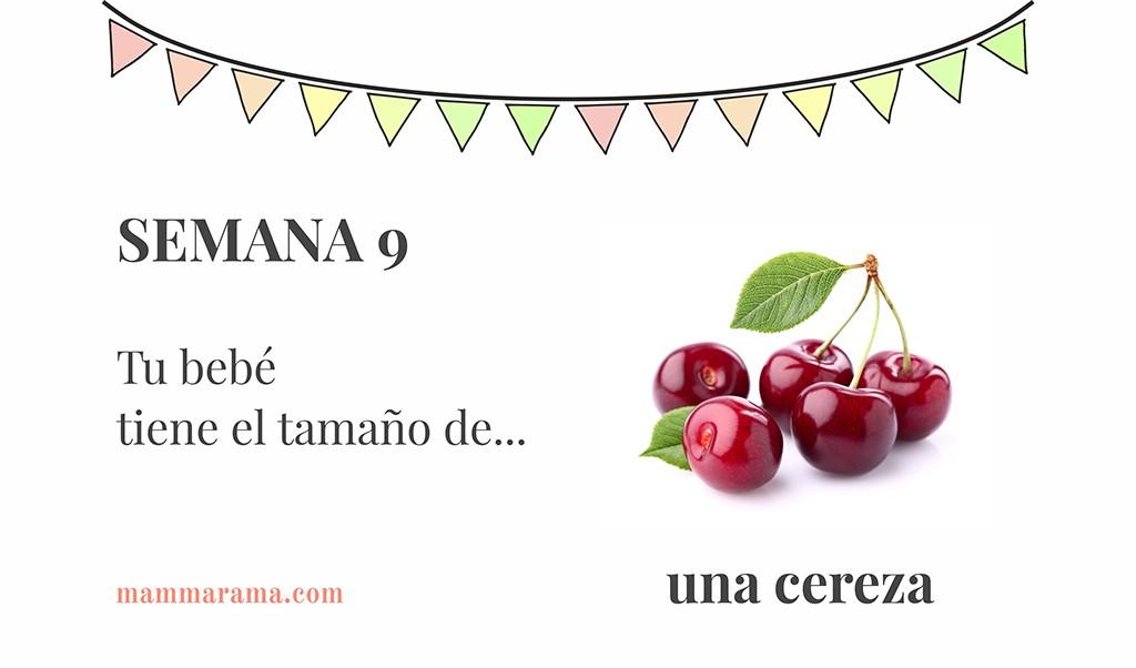 Semana 9 de embarazo: tu bebé tiene el tamaño de una cereza