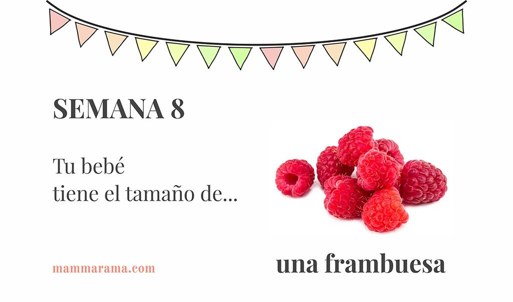 Semana 8 de embarazo: tu bebé tiene el tamaño de una frambuesa