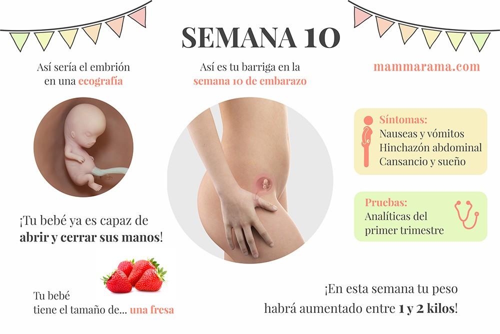 semana 10 de embarazo: síntomas pruebas ecografía tamaño bebé barriga