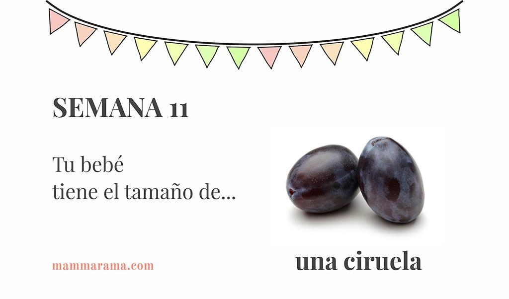 Semana 11 de embarazo: tu bebé tiene el tamaño de una ciruela