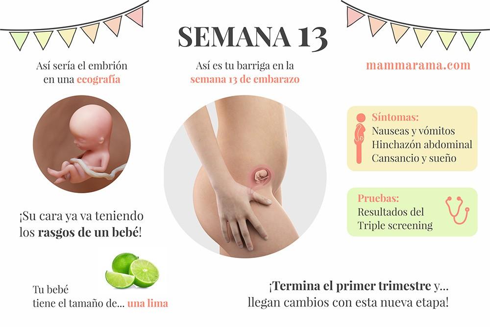 semana 13 de embarazo: síntomas pruebas ecografía tamaño bebé barriga