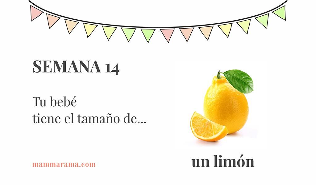 Semana 14 de embarazo: tu bebé tiene el tamaño de un limón
