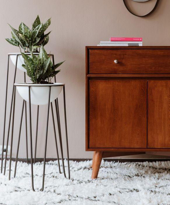 materas macetas plantas ornamentales naturales home shower house casa