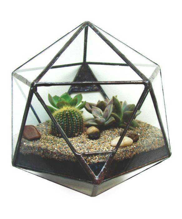 terrarios decoracion moderna regalos creativos dekosas