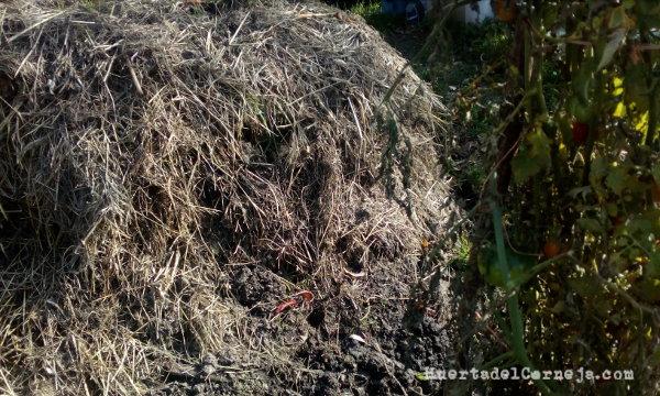 Compost madurando