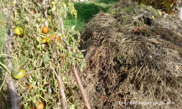 Pila de compost en otoño