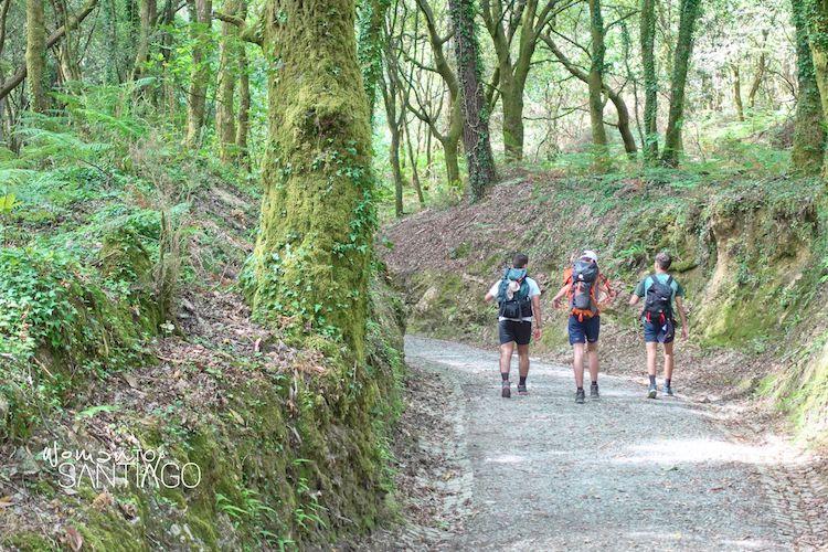 Peregrinos en el Camino de Santiago tras la Ruta de los Faros