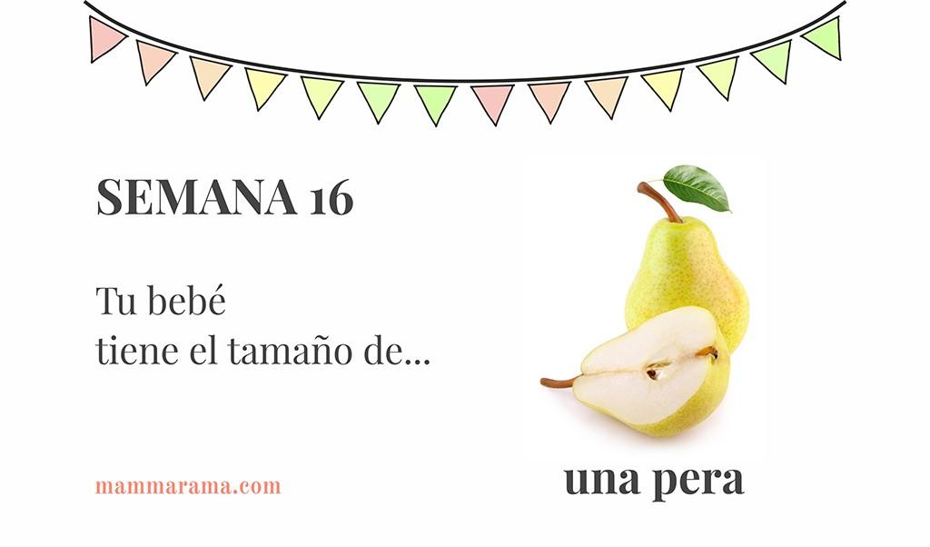 Semana 16 de embarazo: tu bebé tiene el tamaño de una pera