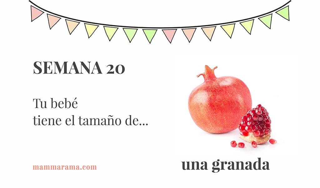 Semana 20 de embarazo: tu bebé tiene el tamaño de una granada