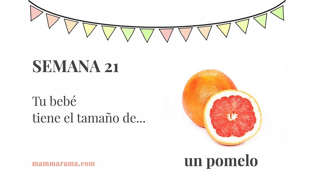 Semana 21 de embarazo: tu bebé tiene el tamaño de un pomelo