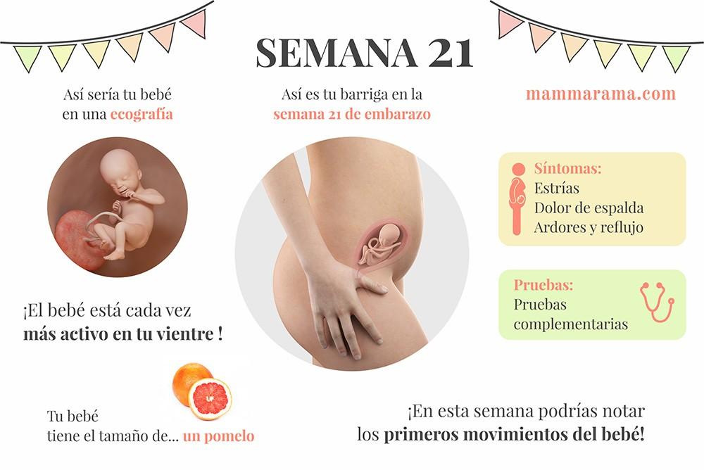 semana 21 de embarazo: síntomas pruebas ecografía tamaño bebé barriga