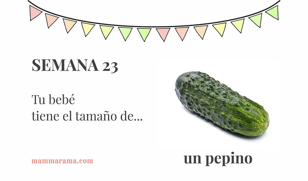 Semana 23 de embarazo: tu bebé tiene el tamaño de un pepino