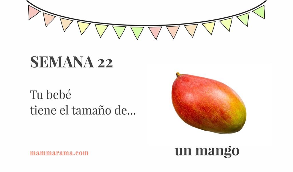 Semana 22 de embarazo: tu bebé tiene el tamaño de un mango