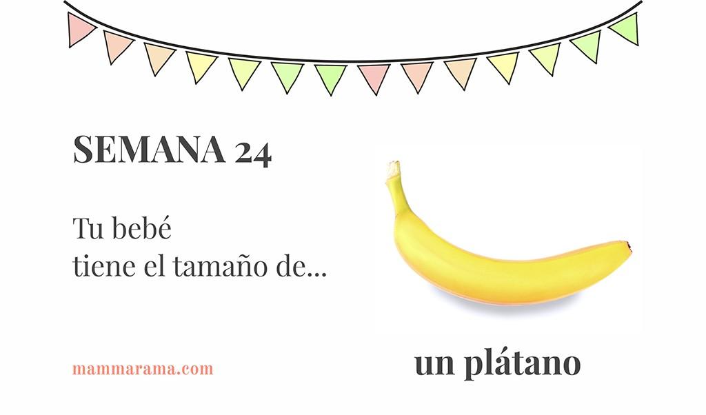 Semana 24 de embarazo: tu bebé tiene el tamaño de un plátano