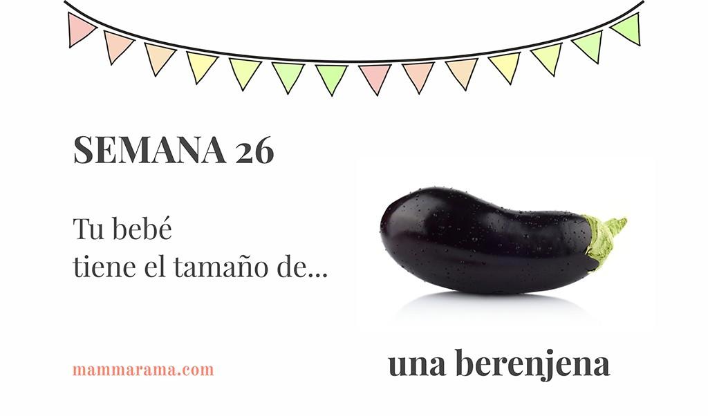 Semana 26 de embarazo: tu bebé tiene el tamaño de una berenjena