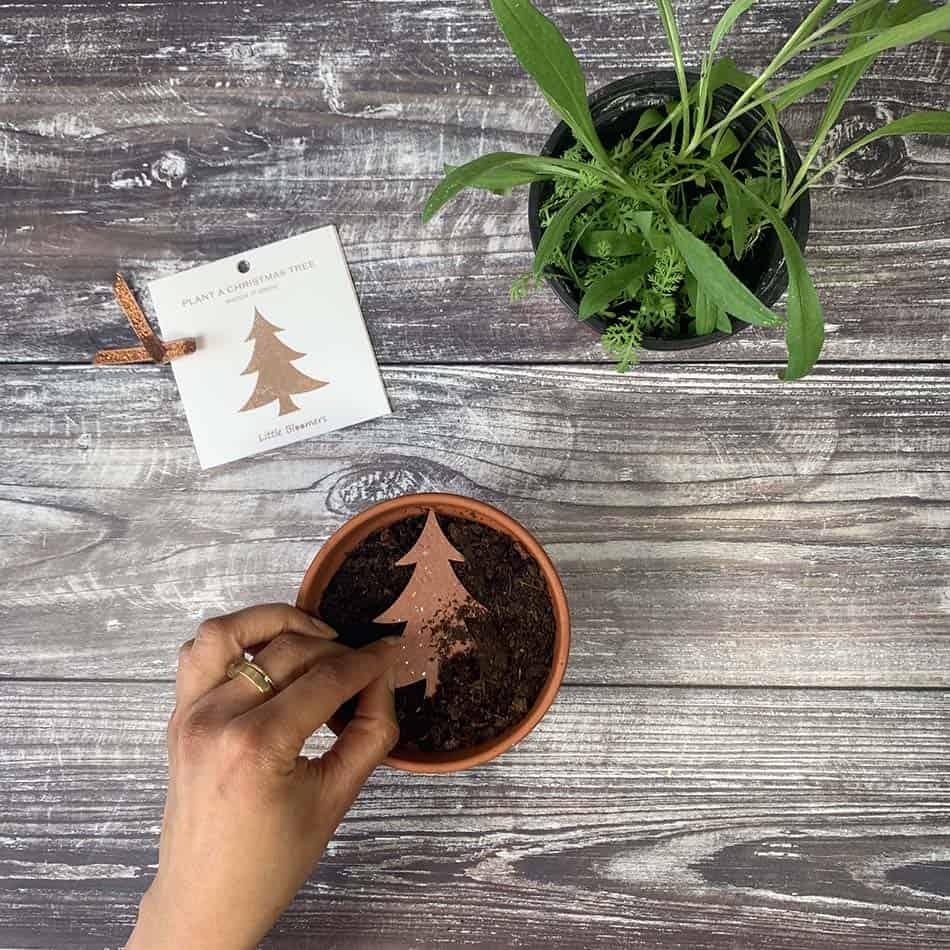 Ideas diferentes para decorar en Navidad