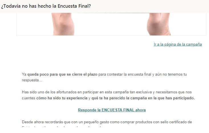 plataforma marketing participativo the insiders